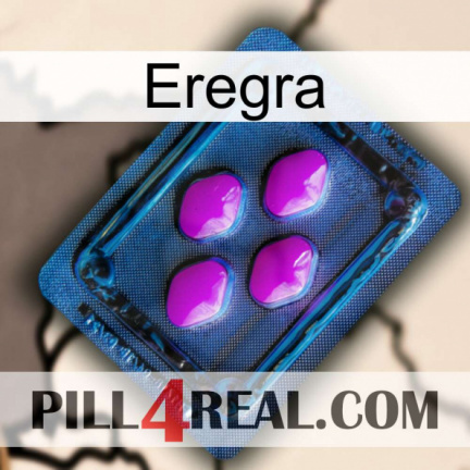 Eregra 04